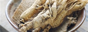 Allt om den populra ginseng-roten