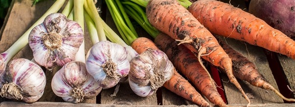 Ekologi samt KRAV-mrkning p livsmedel