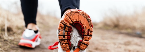 Drfr r promenader bra fr hlsan