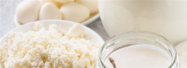 Vitamin B2, riboflavin