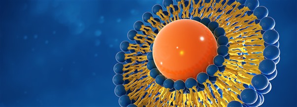 Liposomala kosttillskott