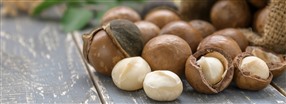 Macadamia