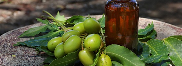 S anvnder du neemolja