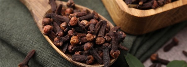 Allt om kryddnejlika