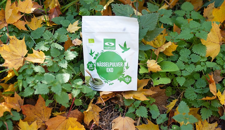 En påse nässelpulver omgiven av nässlor och höstlöv. En påse nässelpulver omgiven av nässlor och höstlöv.