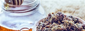 Propolis - en superprodukt frn naturen
