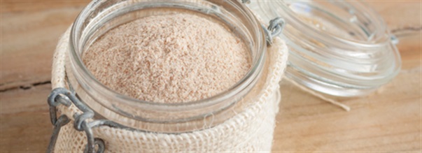 Lr dig allt om psylliumfrskal