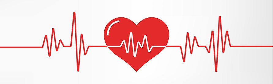 Ett rtt EKG med hjrta.