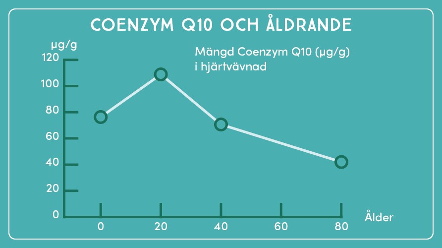 Coenzym Q10-nivåer i kroppen i olika åldrar. 