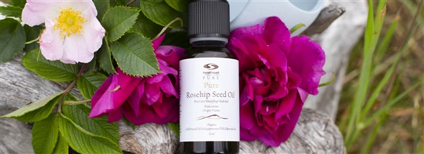 Nyponfrolja som hudvrd