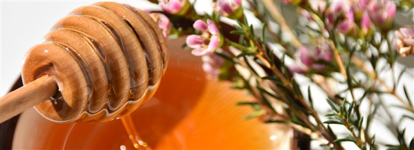 Vad gr manukahonungen s speciell?