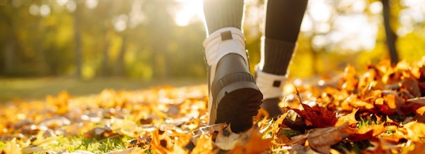 Binjureutmattning - fakta, myter och vgen till vlmende