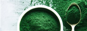 Allt du vill veta om mirakelalgen spirulina