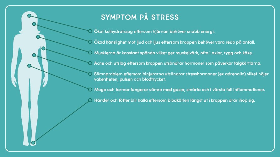 Illustration över kroppens symptom på stress.