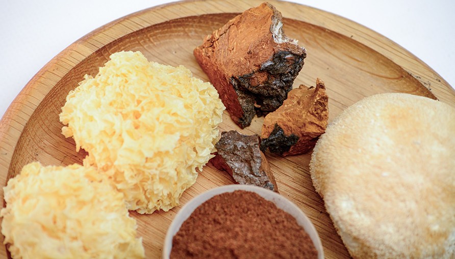 Bitar och pulver av svamparna chaga, lion's mane och blomklssvamp som ligger p ett trfat. 