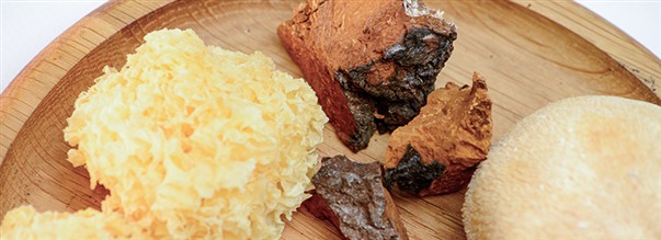 Guide: Vlj rtt svamptillskott