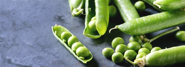 S hr fungerar rtprotein