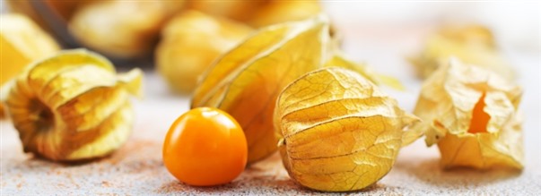 Incabr: S nyttigt r det