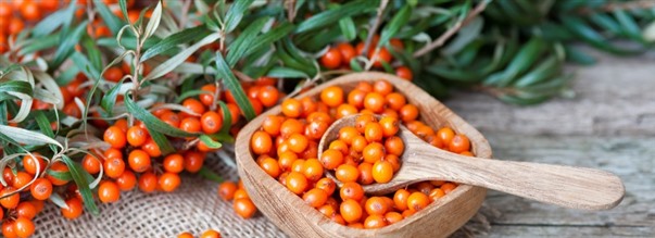 Kosttillskott i klimakteriet