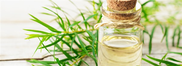 Tea tree-olja som hudvrd
