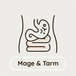Mage & Tarm